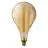Philips Vintage LED Bulb E27 Pear Filament Gold 5W 300lm - 820 Extra Warm White | Replaces 25W