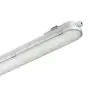 Philips LED Waterproof Batten CoreLine WT120C G2 61W 8000lm - 840 Cool White | 150cm - Dali Dimmable 